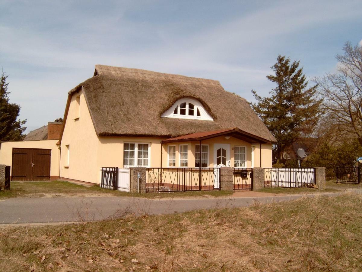 Ferienhauschen Villa Born Exterior photo